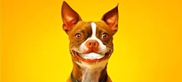 gifs animados que son alegres